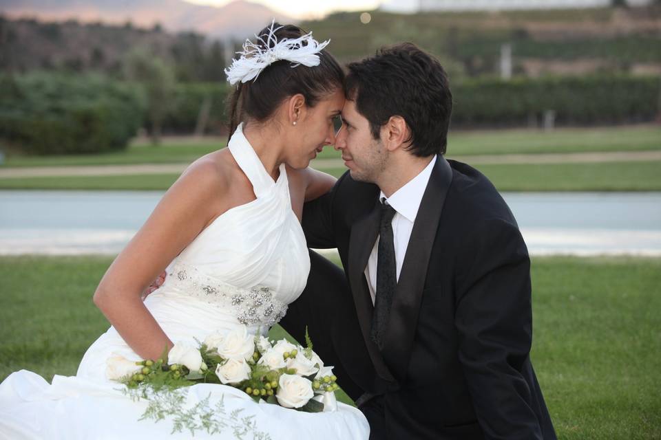 Felipe Los Novios, Fotógrafos