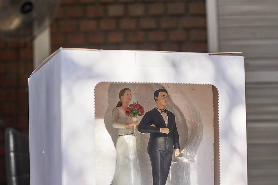 Figuras y Momentos, Tortas
