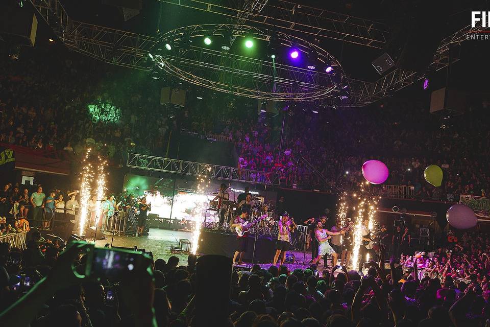 Firepro Entertainment Group, Música