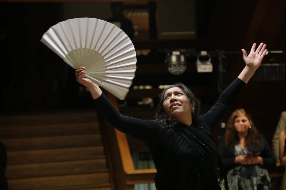 Flamencovy, Animación