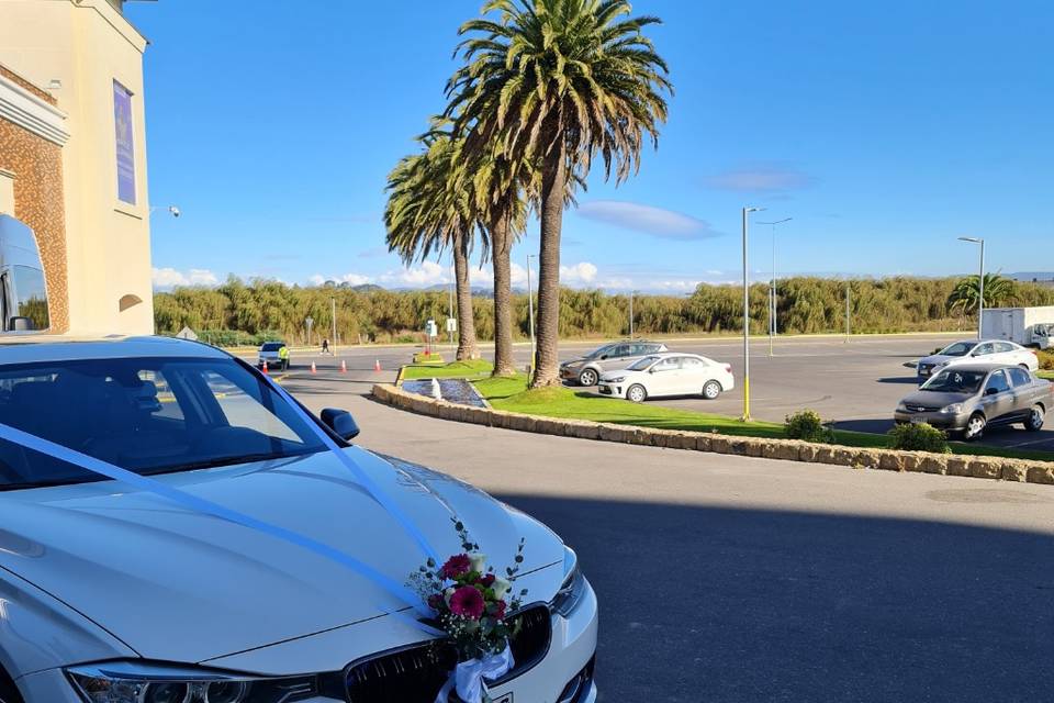 Francisco Javier Gutiérrez, Autos