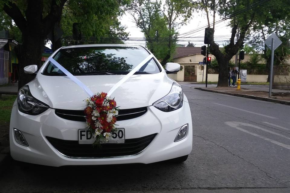 Full Novios Chillán