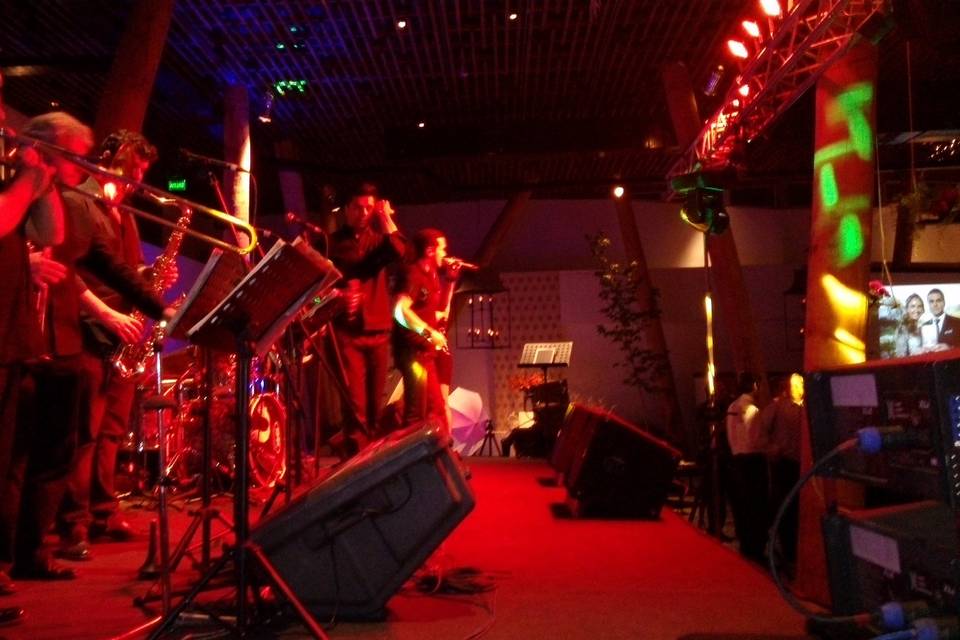 GM Audio Producciones, Música