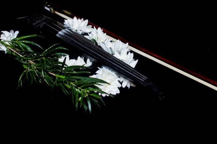 GonzaViolin, Música