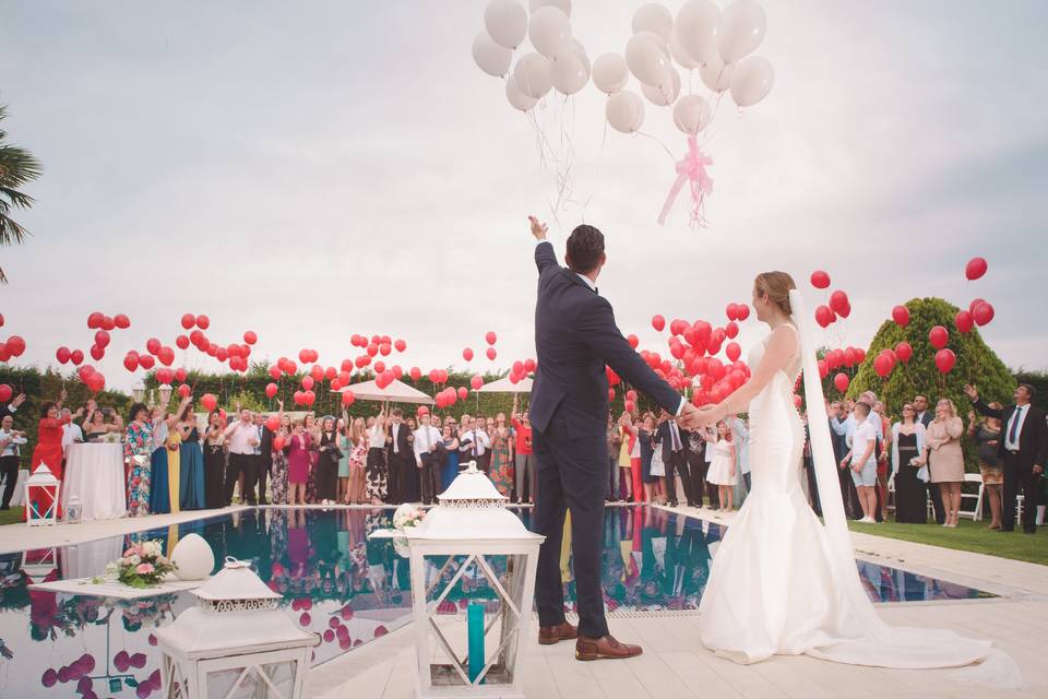 Grupo Phillips, Wedding Planner