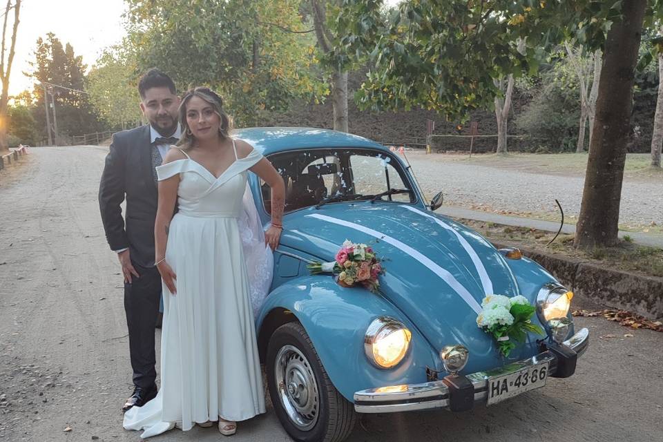 Guillermo Arriagada - Volkswagen, Autos