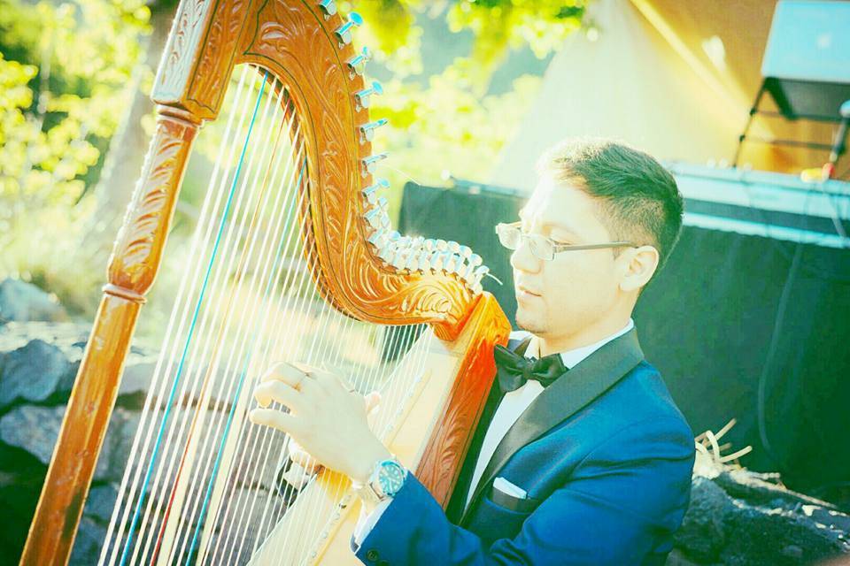Guillermo y su Arpa, Música