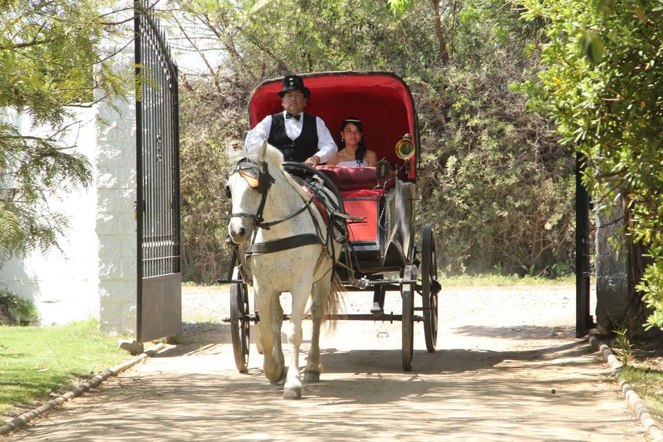 Hacienda los Naranjos, Centros de Eventos