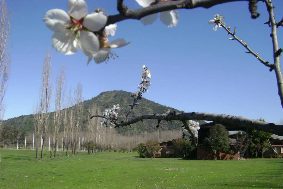 Hacienda Picarquín, Centros de Eventos