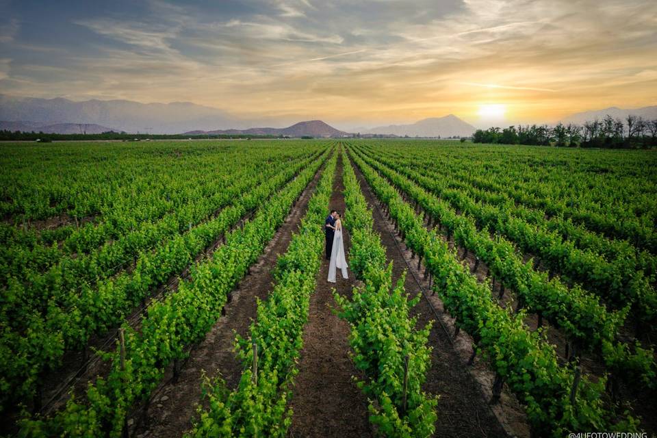 Hacienda San Francisco, Centros de Eventos