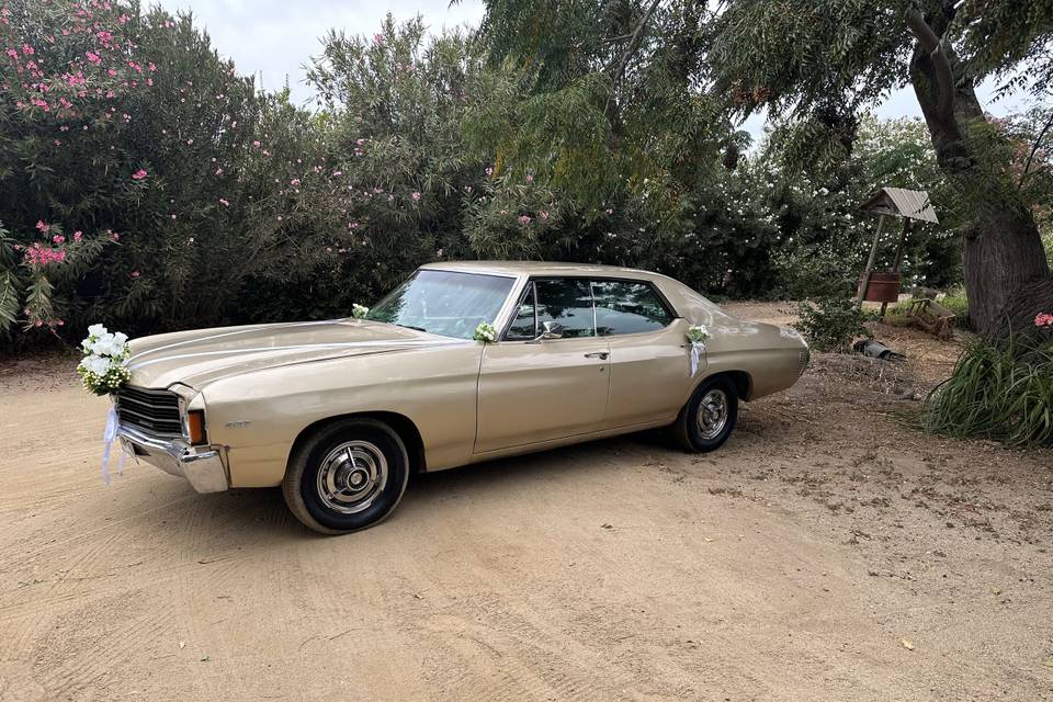 HGS Classic Cars, Autos