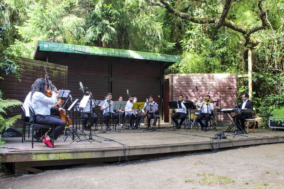Joystick y Orquesta, Música