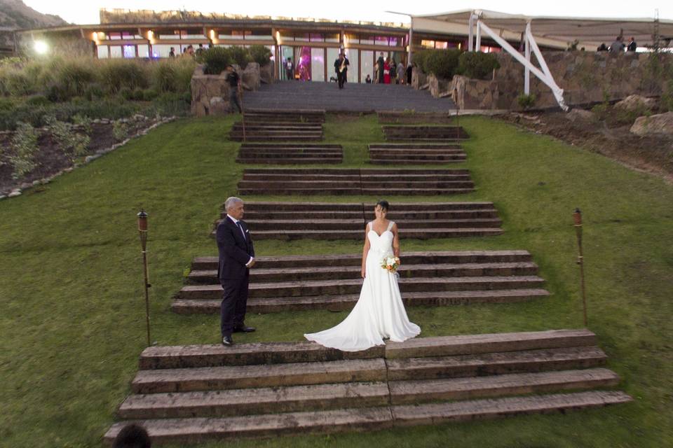 K-vista, Videógrafos
