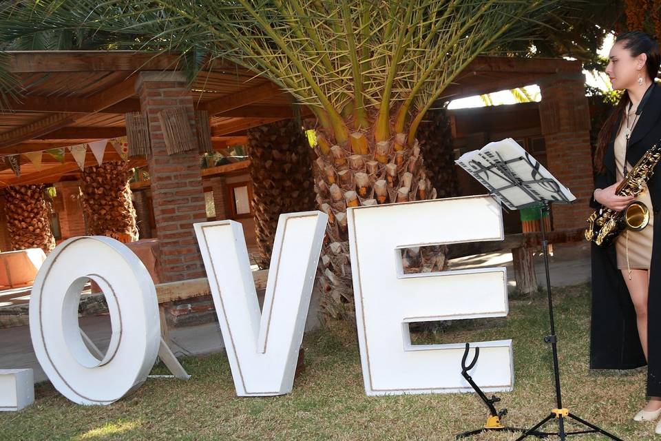 Proveedores para matrimonios en Región de Atacama