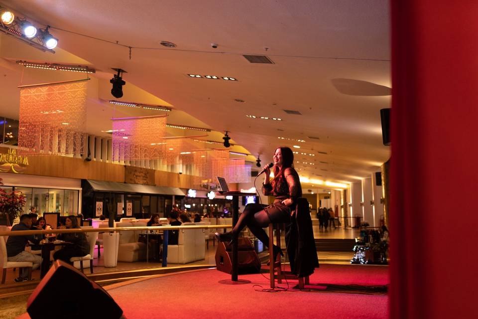 Karina Paz - Cantante, Música