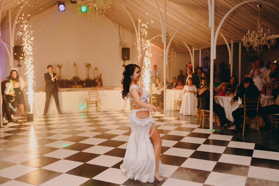 Katherinne Farah, Animación