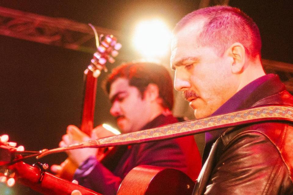 Litoral Producciones, Música