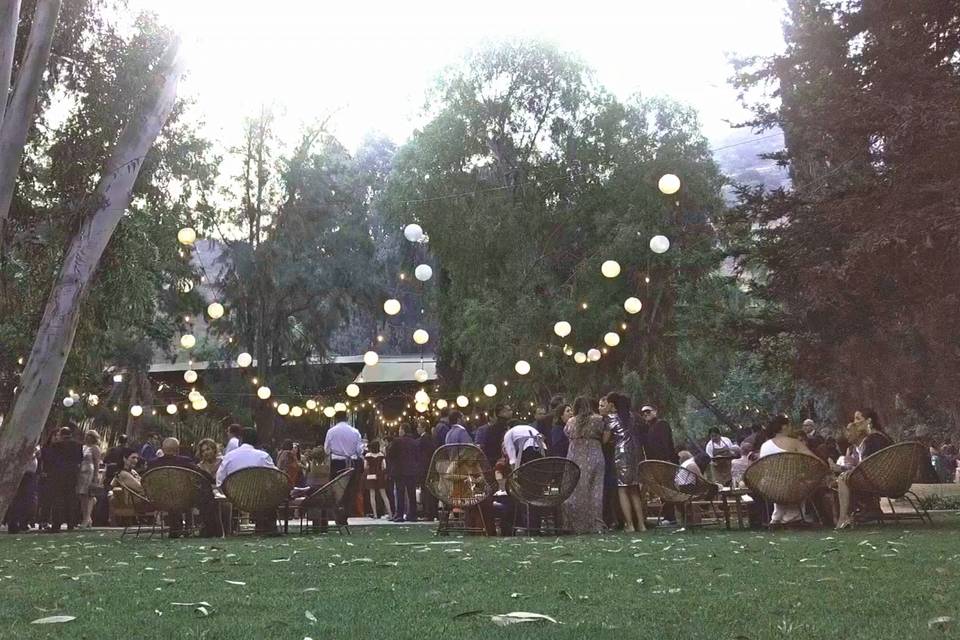 Llega, Videógrafos
