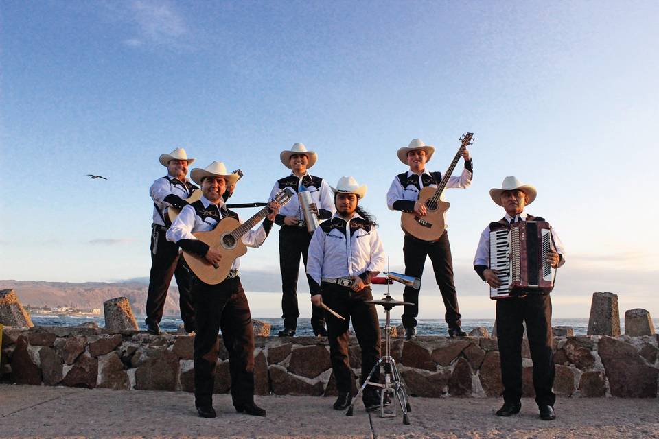 Los Ángeles Sabaneros, Música