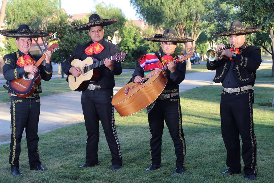 Los Hijos del Tequila, Música