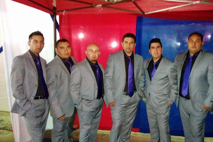 Los Malicia, Música