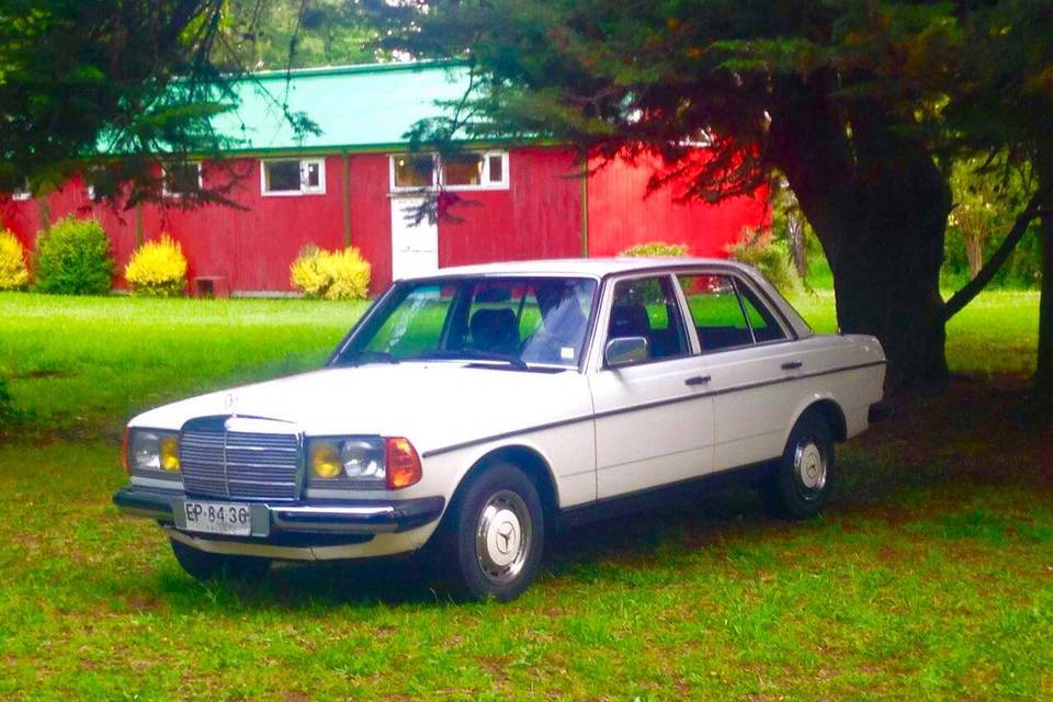 LoveCar, Autos