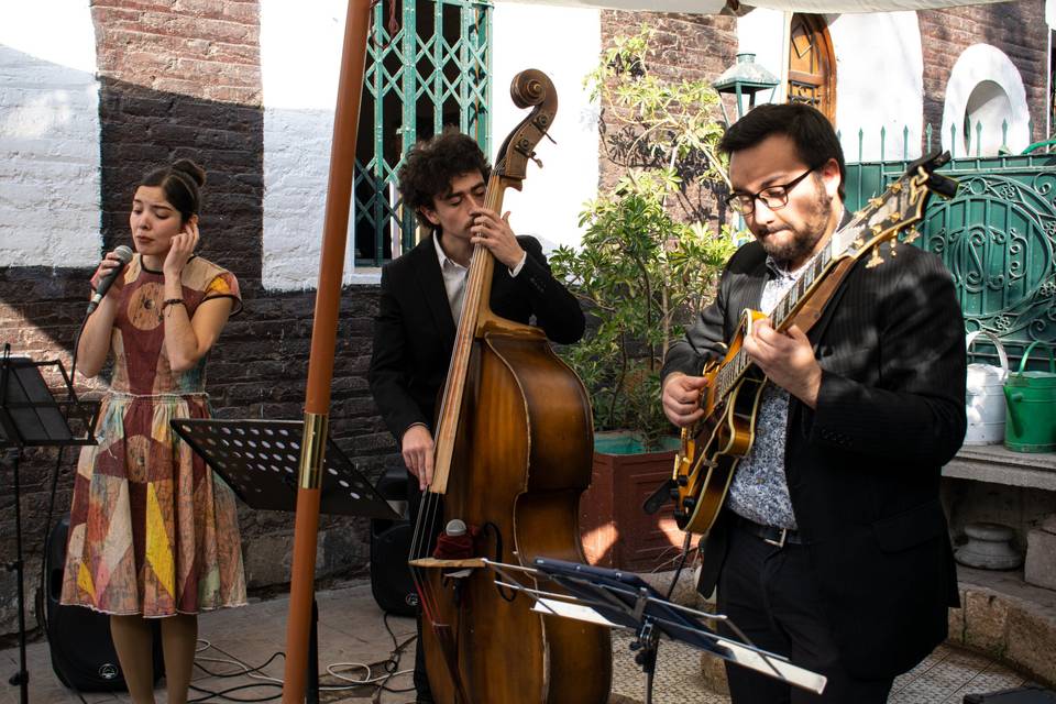 Maj Trío, Música