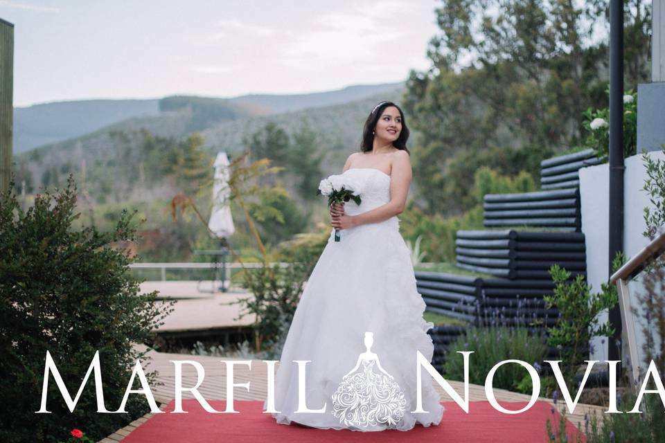 Marfil Novias, Tiendas de Novia