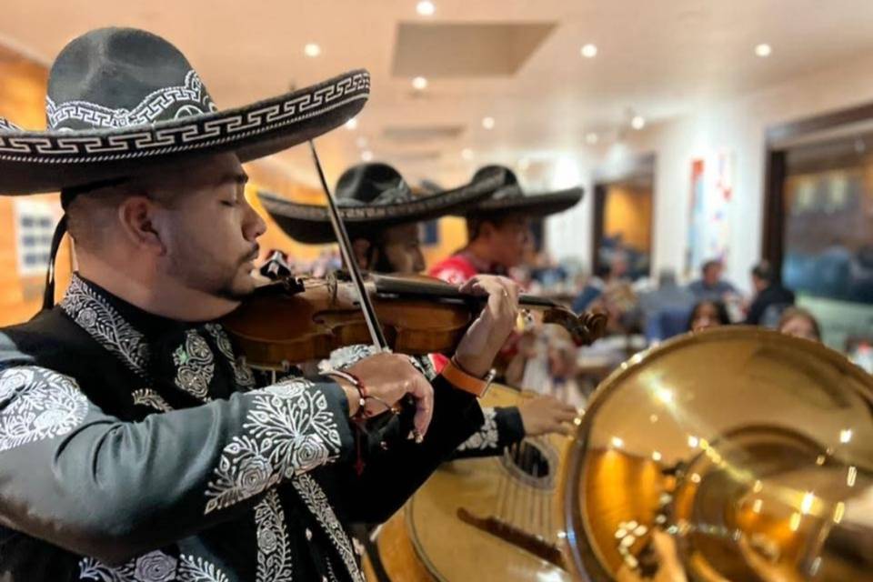 Mariachi León Imperial, Música