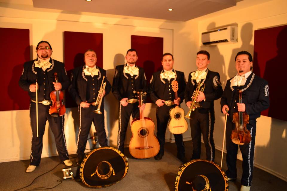 Mariachi Real de América, Música