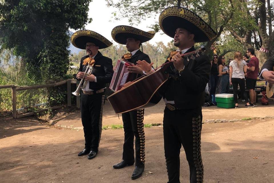 Mariachi Sánchez, Música