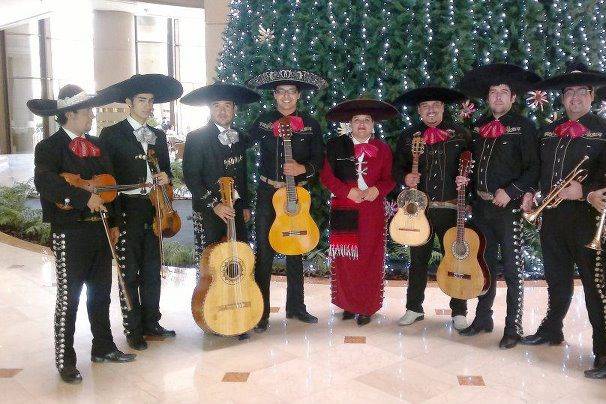 Mariachi Tierra Chilena, Música