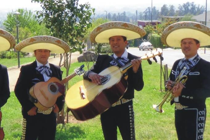 Mariachi Tierra Nueva, Animación