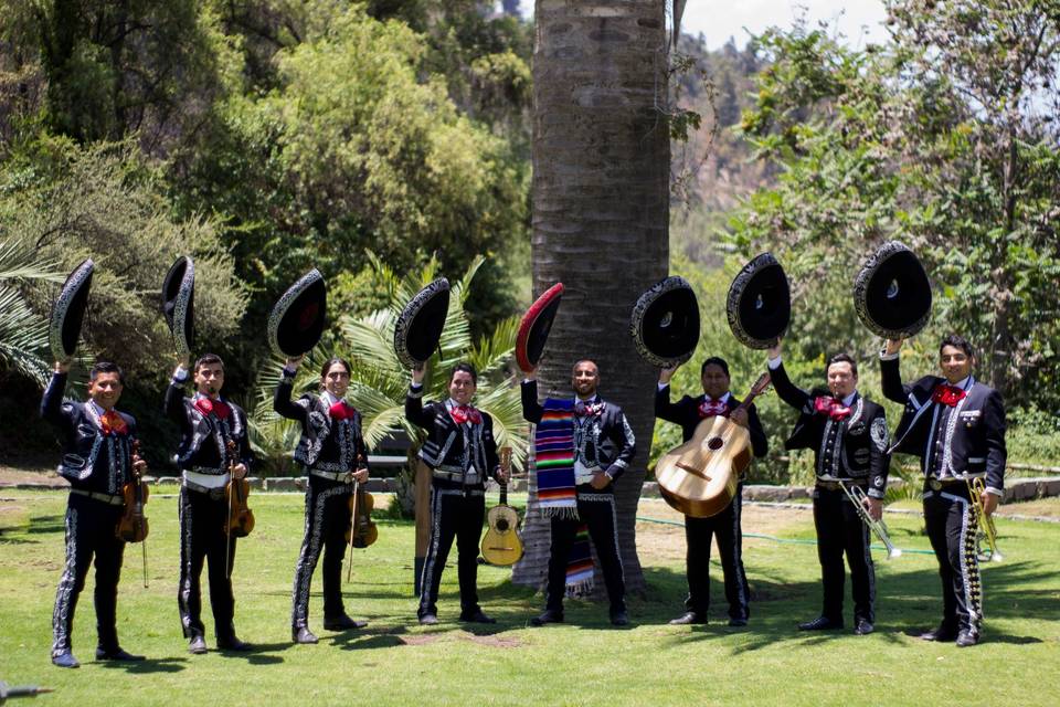 Mariachi Valencia, Música