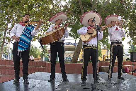 Mariachis Tierra de México, Música