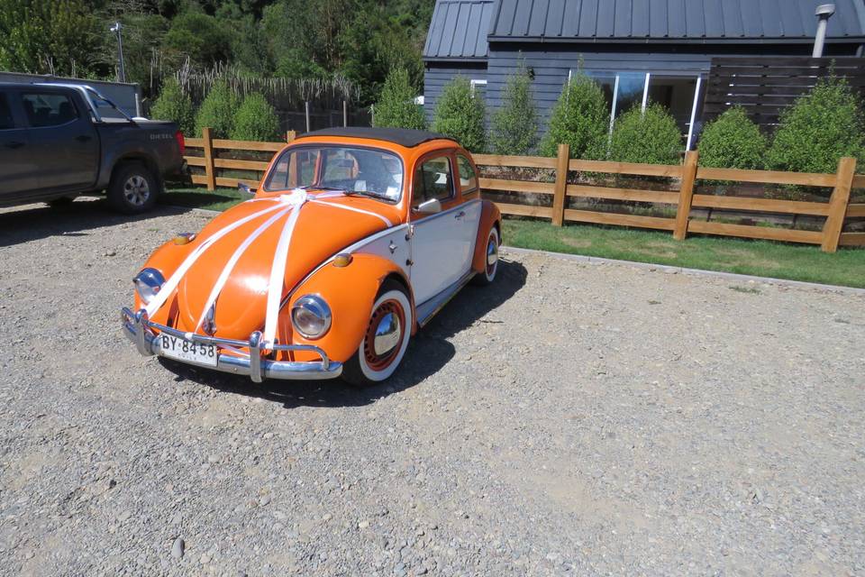 MatriBeetle, Autos