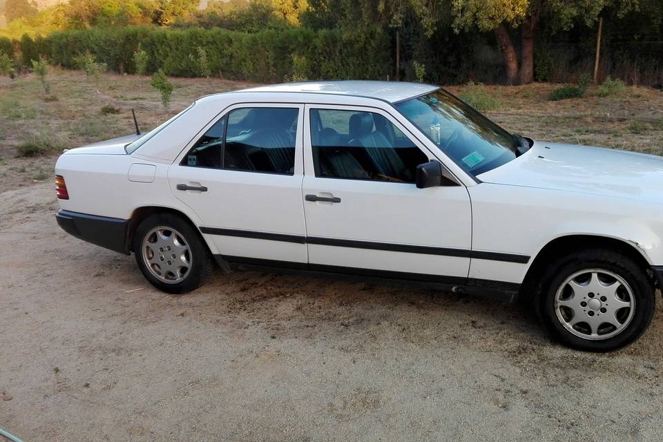 MatriMeche, Autos