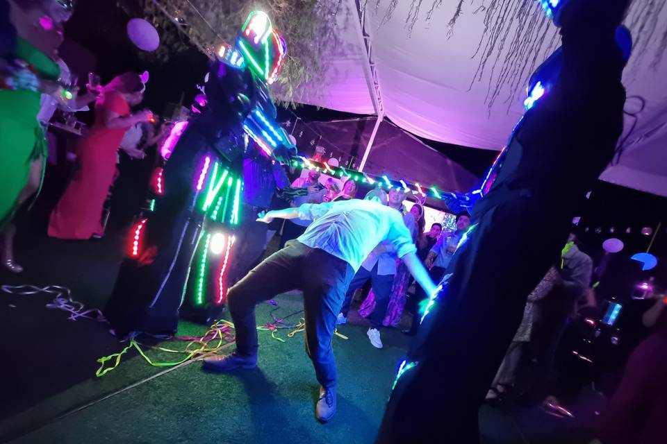 Megatron Producciones, Animación