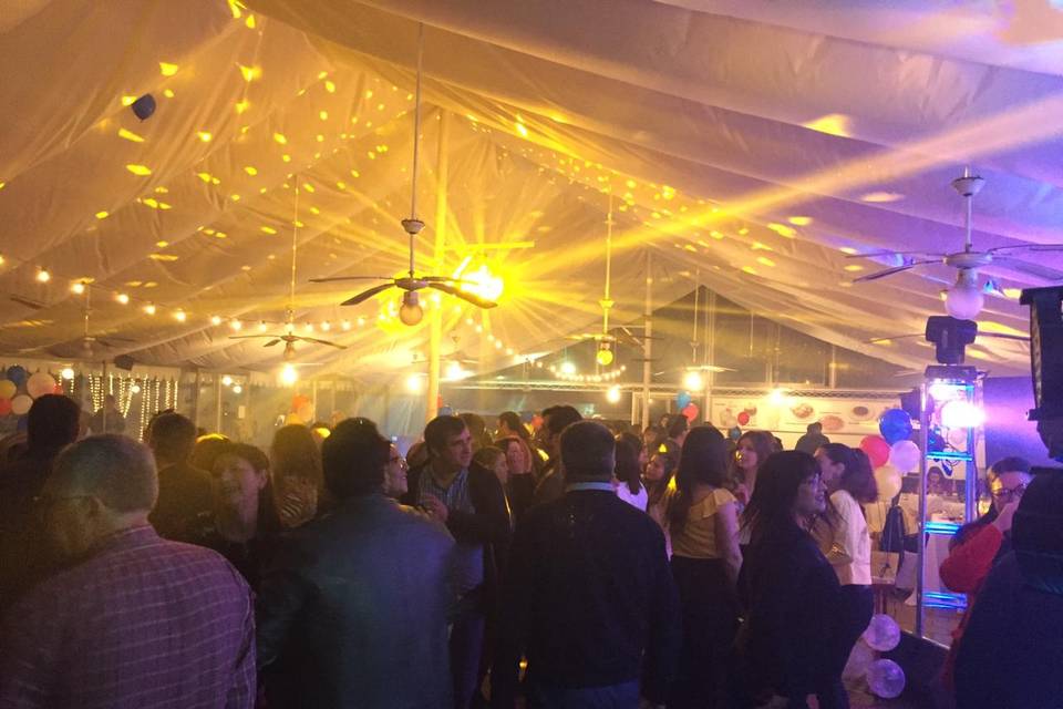 Mejia Eventos, Música