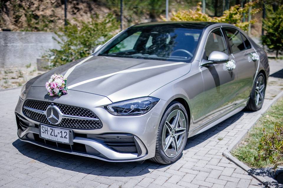 Mercedes Benz - Pablo Mora, Autos