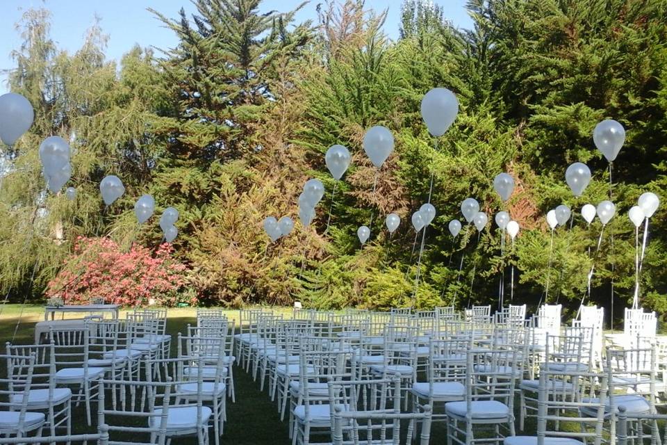 Mi Boda Globos Con Helio