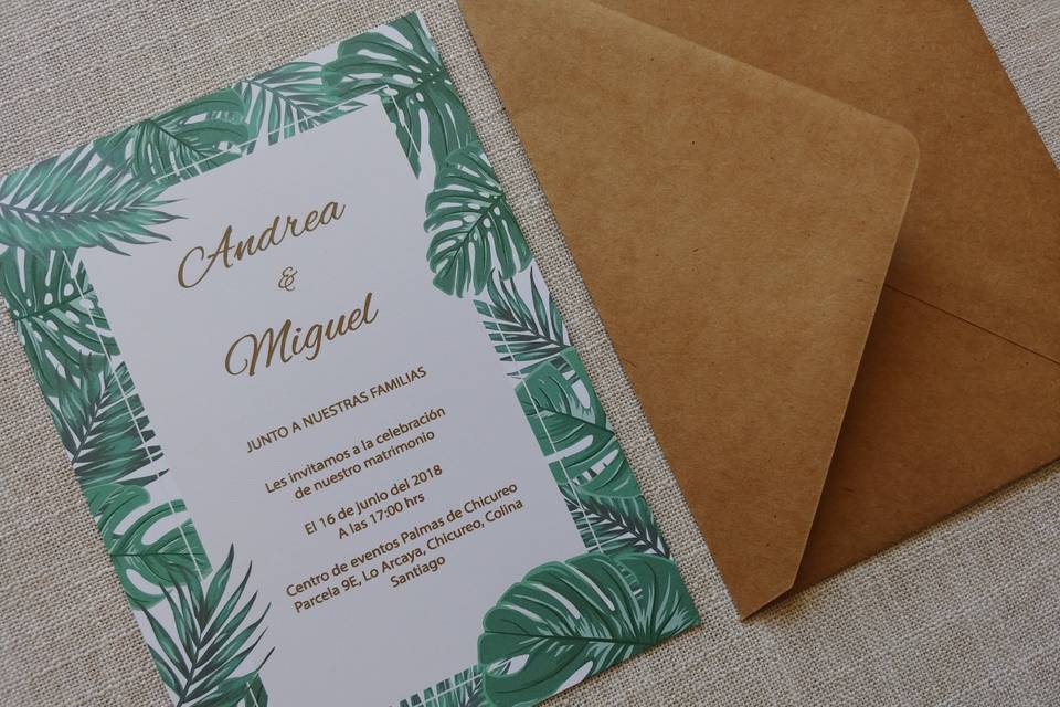 Michelle Pastene, Invitaciones