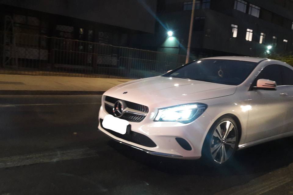 Millaray Transporte Vip, Autos