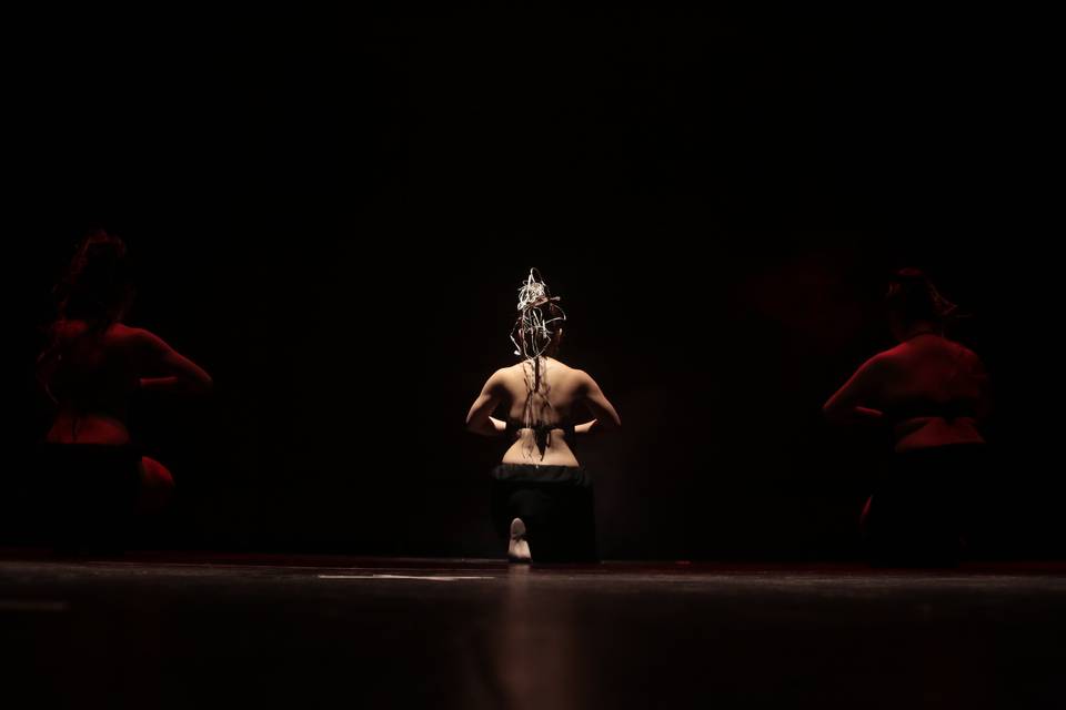 Moana - Show de Danza, Animación
