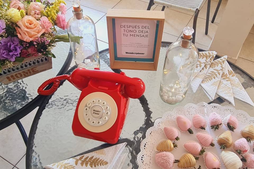 Montiphone, Animación