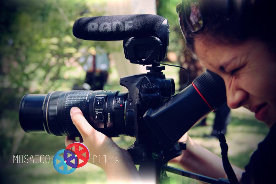Mosaico Films, Videógrafos