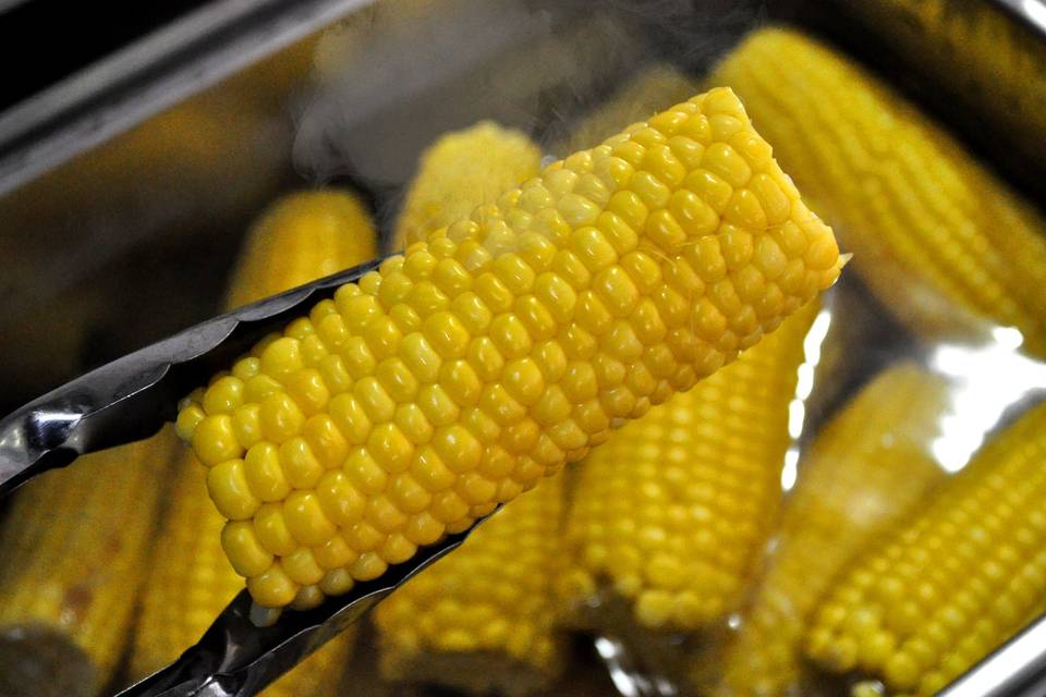 Mr. Corny, Animación