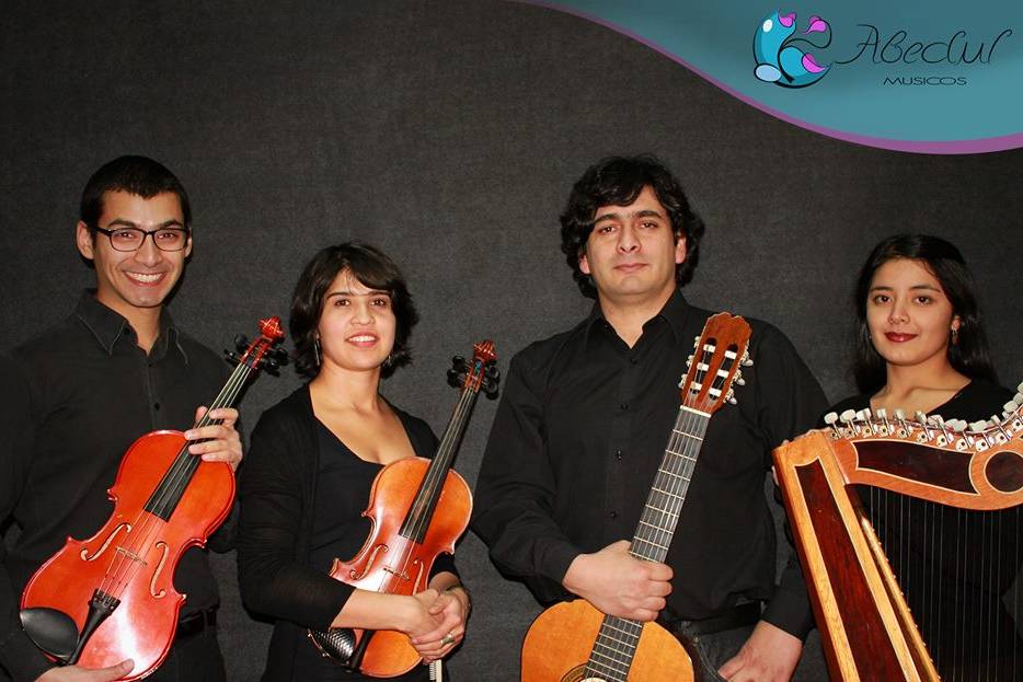 Músicos Abedul, Música