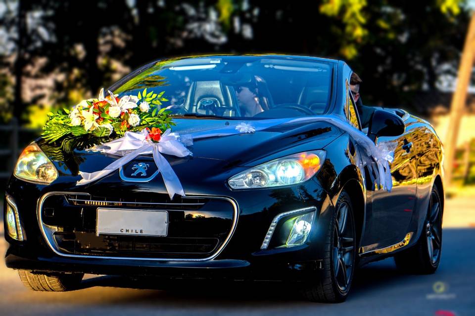 My Convertible, Autos