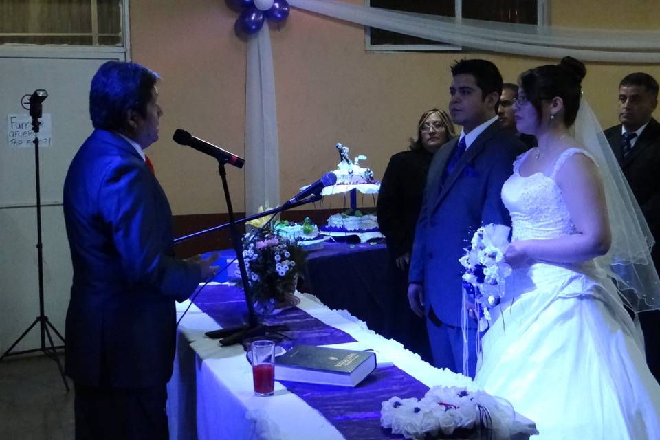 Nemesys Eventos, Música